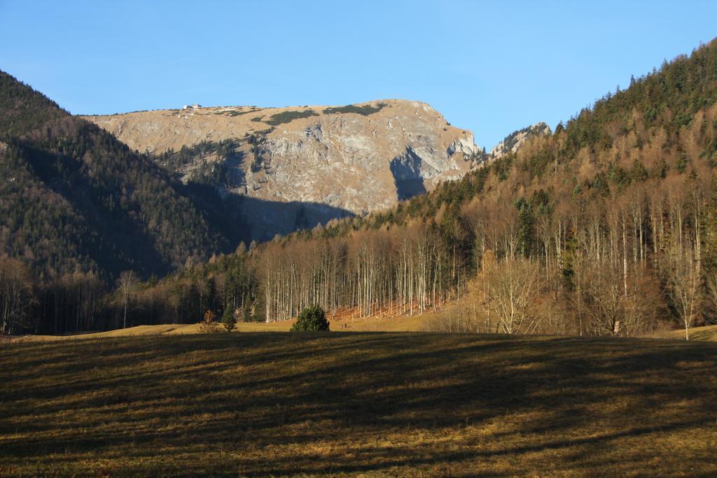Haus Seeschwalbe Sankt Wolfgang im Salzkammergut Bagian luar foto